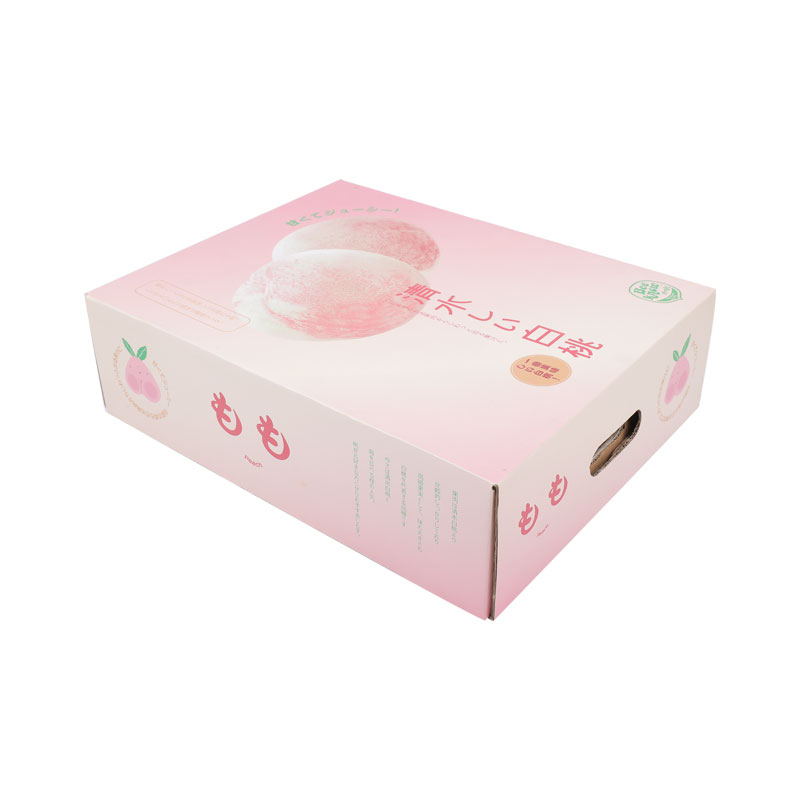 5 color printed world cover fruit packaging box