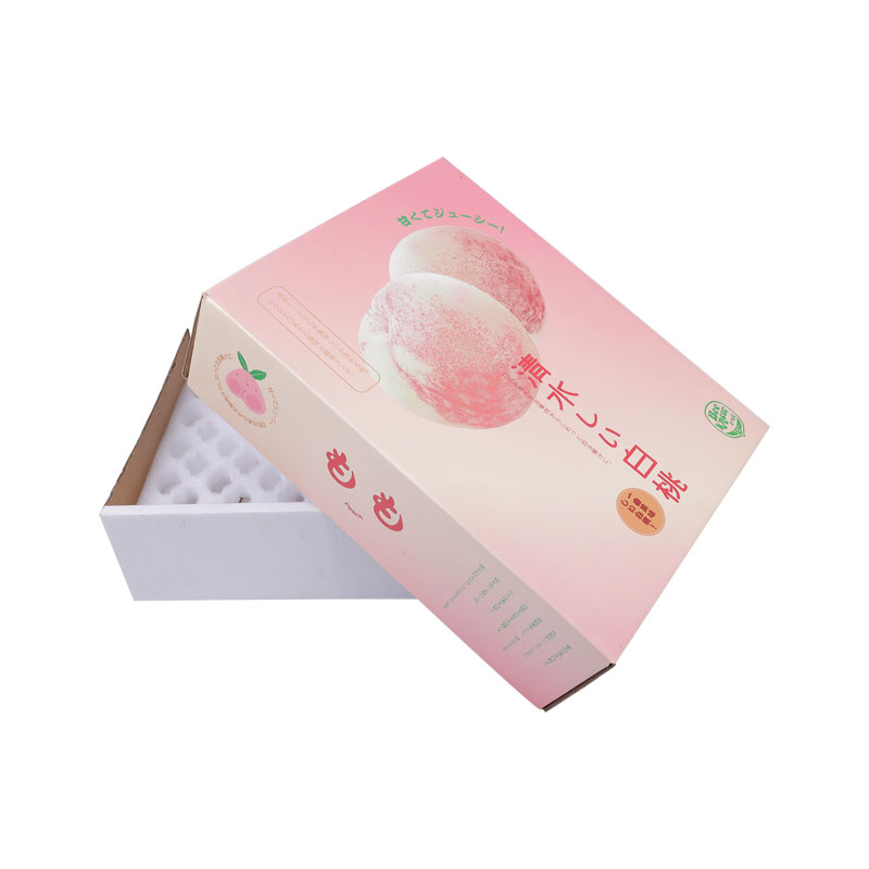 5 color printed world cover fruit packaging box