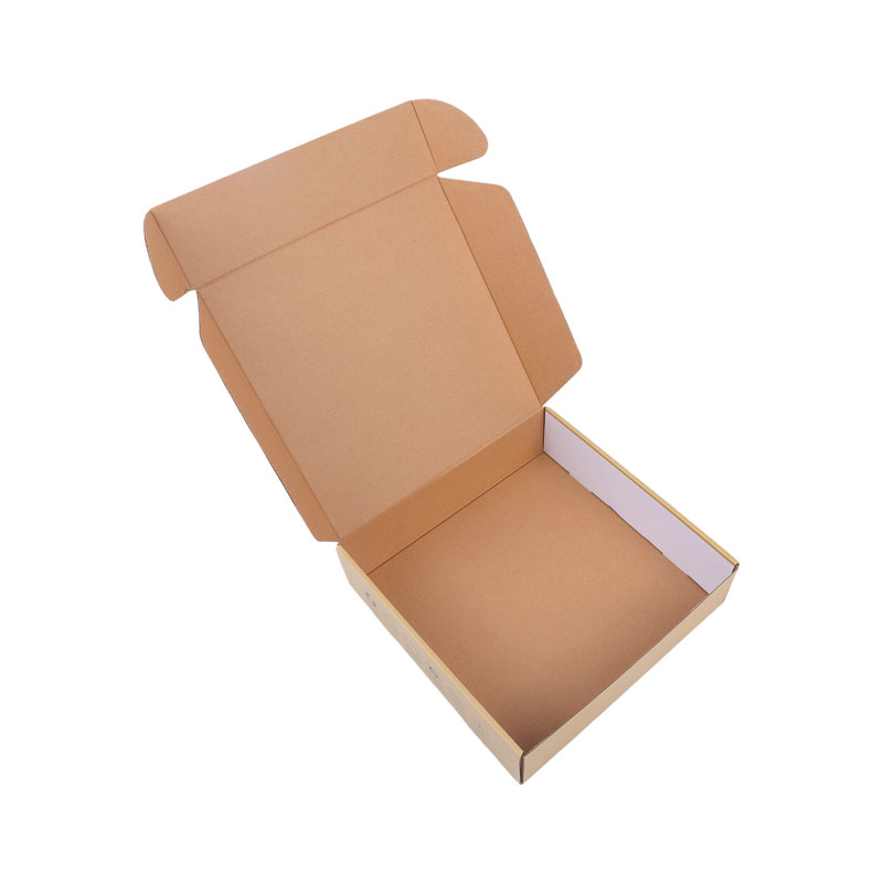 4 color printing aircraft packaging box